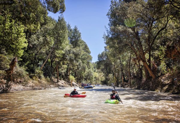 Give yourself the gift of a digital detox