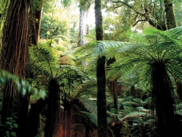 Our 2021 Shortlist Of Adventures – Where Will You Go?